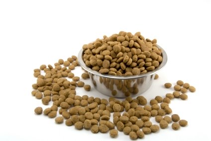 Dog-Food-Bowl_0