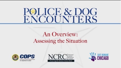 “Police and Dog Encounters” Training Videos Released.