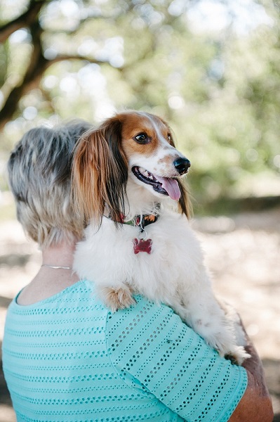 Are we creating a culture of helicopter pet parenting?