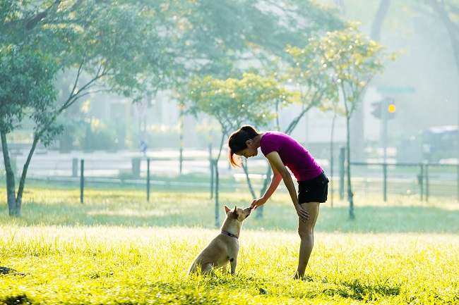 What do we actually know about growling, snarling, snapping and biting behavior in dogs