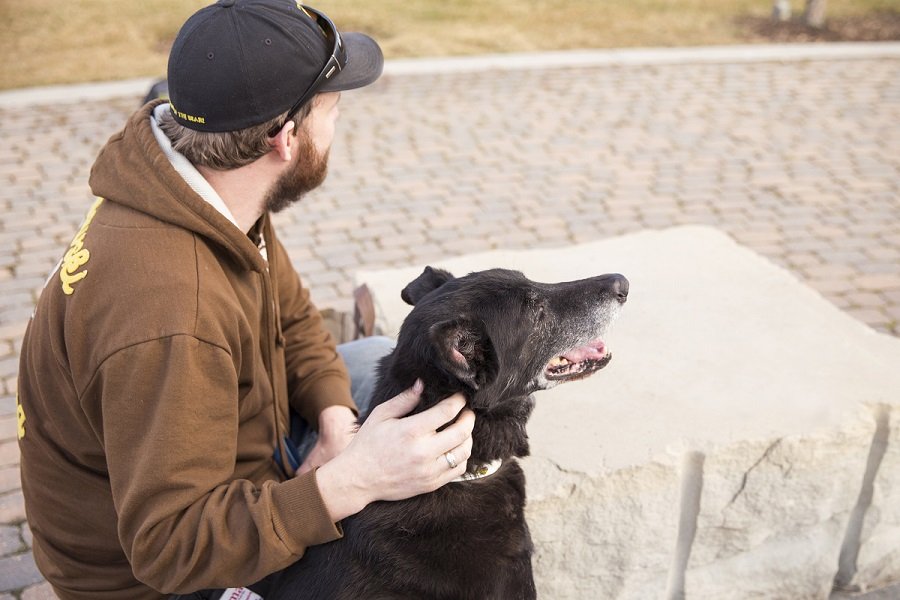 Evidence for the case against formal behavior evaluations for shelter dogs