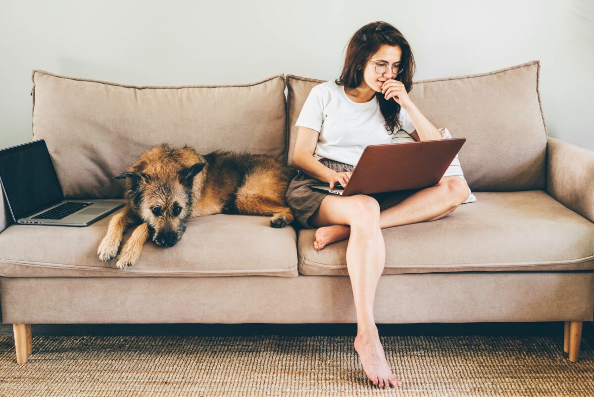 The QAnon of Canine Behavior Science