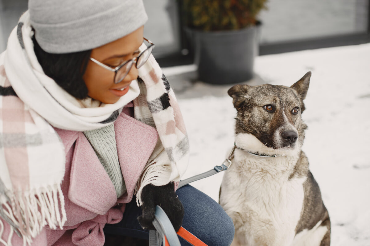 Saving Normal: A new look at behavioral incompatibilities and dog relinquishment to shelters