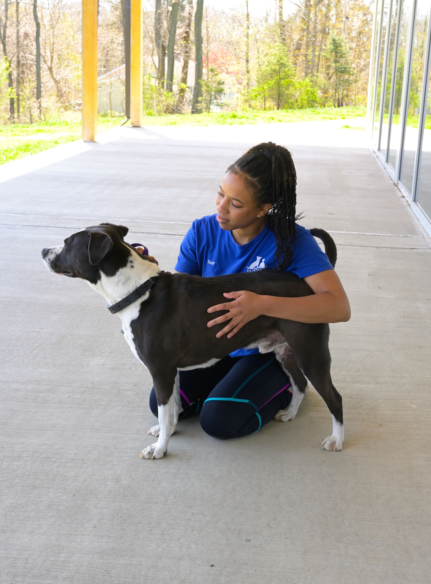 Animal professionals shown to disagree with each other when assigning breed(s) to dogs of unknown parentage.