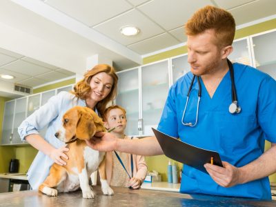 Veterinary examining Beagle dog at clinic, woman and daughter pet owners standing near